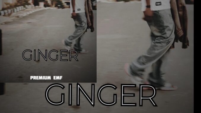 Premium-Emf-–-Ginger-950x950 Premium Emf – Ginger