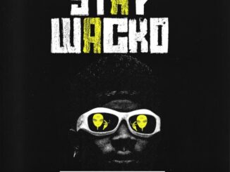 TheFeyiii – Stay Wacko